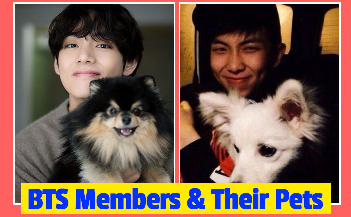 Bts Members And Their Adorable Furry Pets Bts Members And Their Adorable Furry Pets